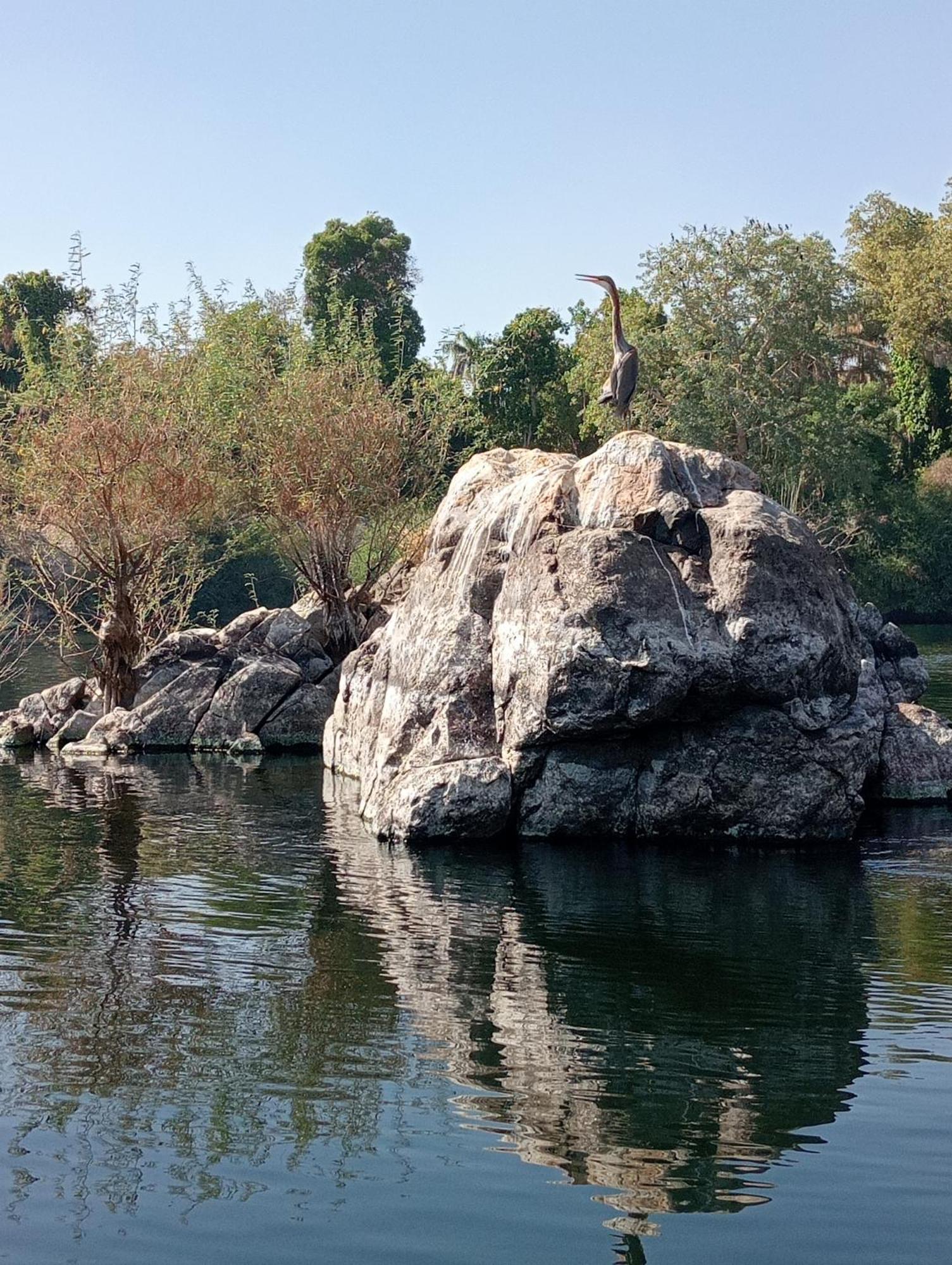 Houseboat Hotel And Nile Cruises Zainoba Asszuán Kültér fotó